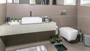 ΕΙΔΗ ΜΠΑΝΙΟΥ